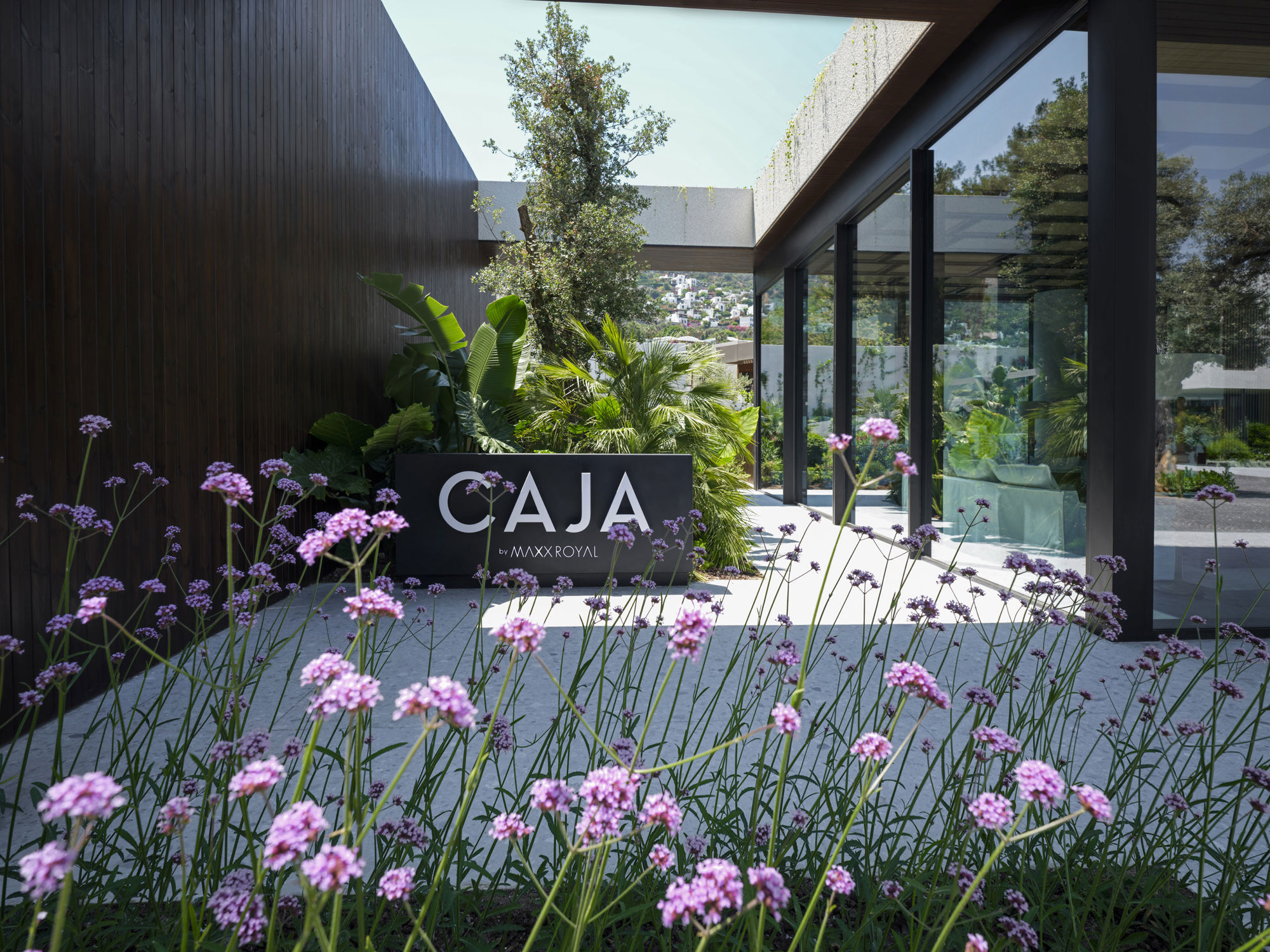 Caja By Maxx Royal