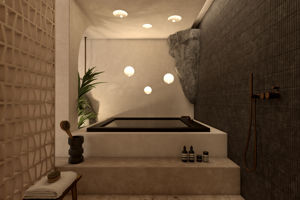 Woonvoorbeeld spa retreat suite met privÃ© zwembad