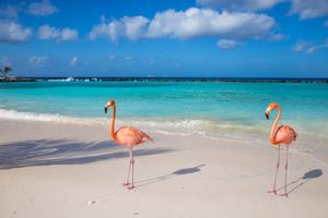 Cruise Caribbean: Aruba, Curaçao & Dominicaanse Republiek