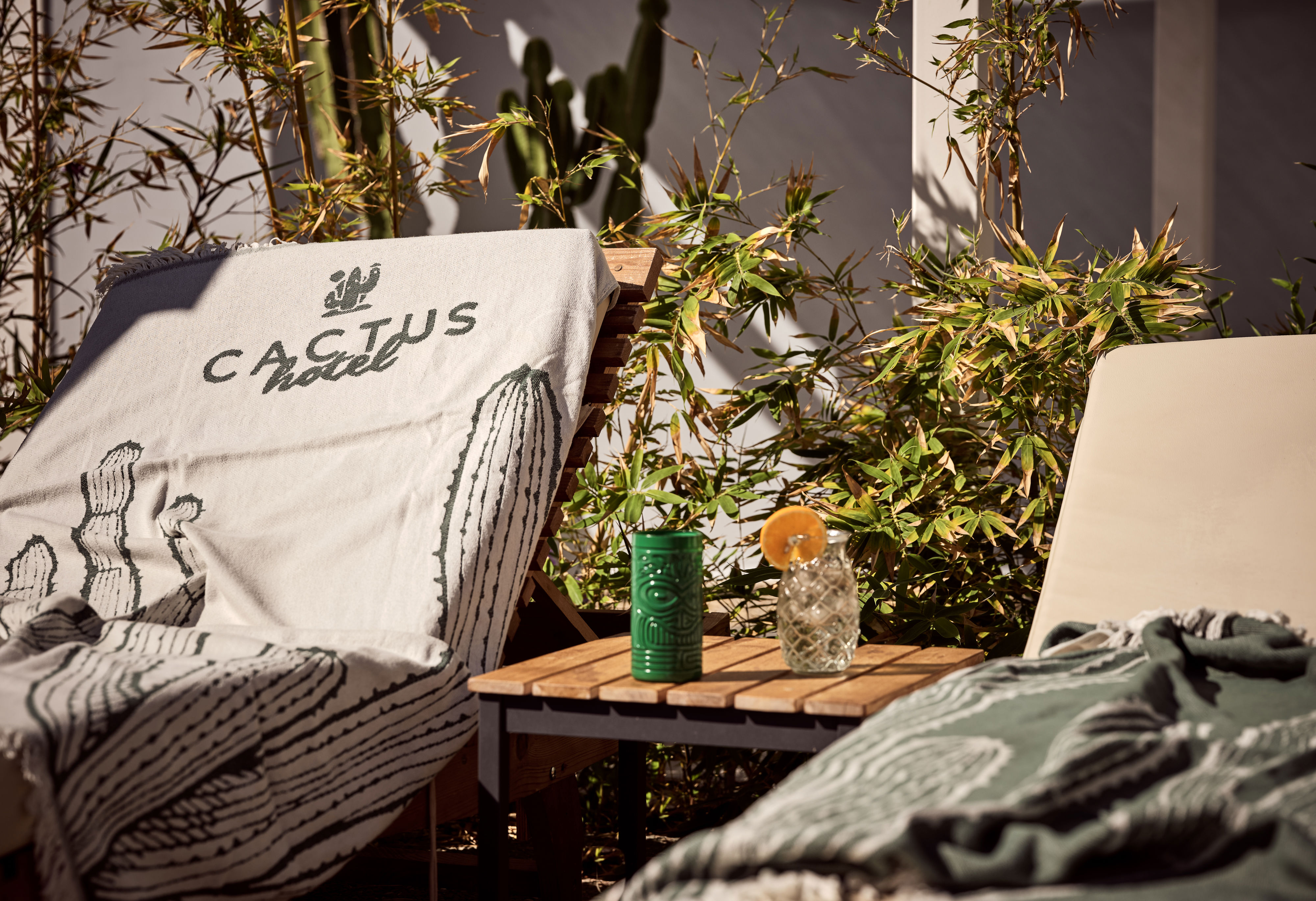 Cactus Hotel