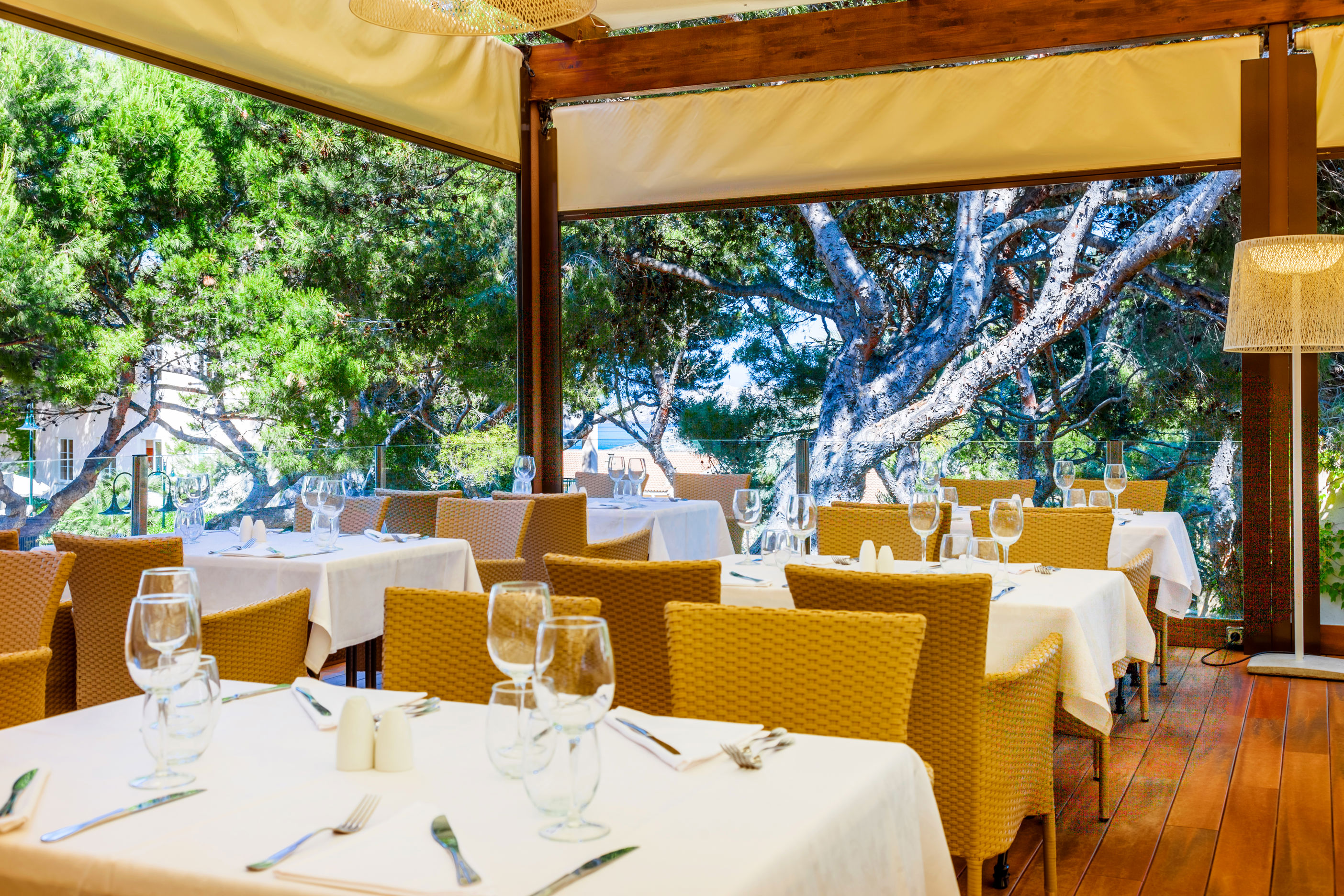 Fly & Go Viva Cala Mesquida Resort & Spa