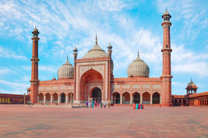 Rondreis Hoogtepunten van India 