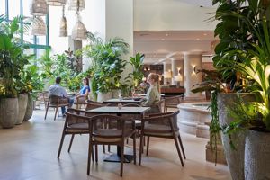 The Cliff Bay Hotel & Resort