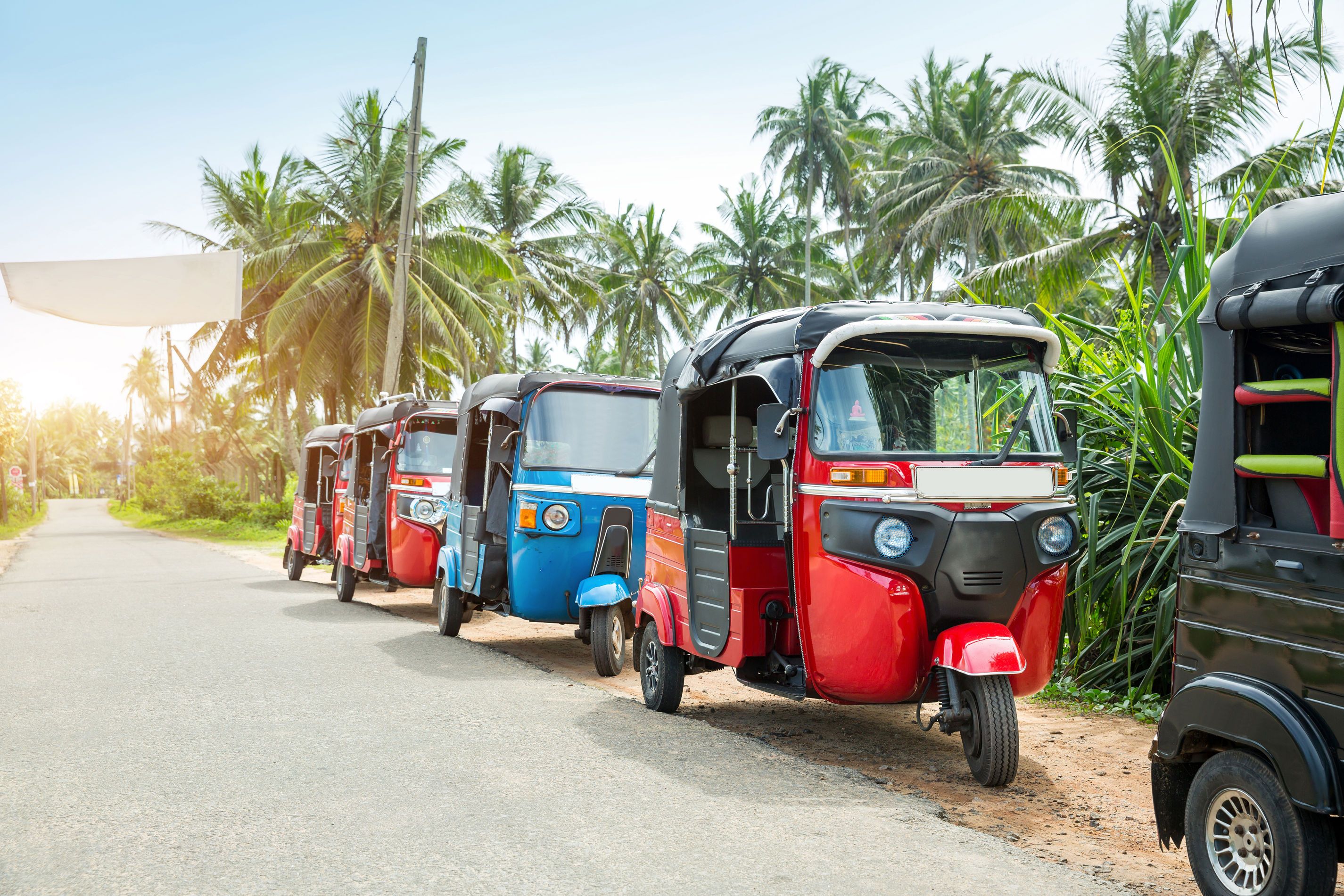 Rondreis Compleet Sri Lanka