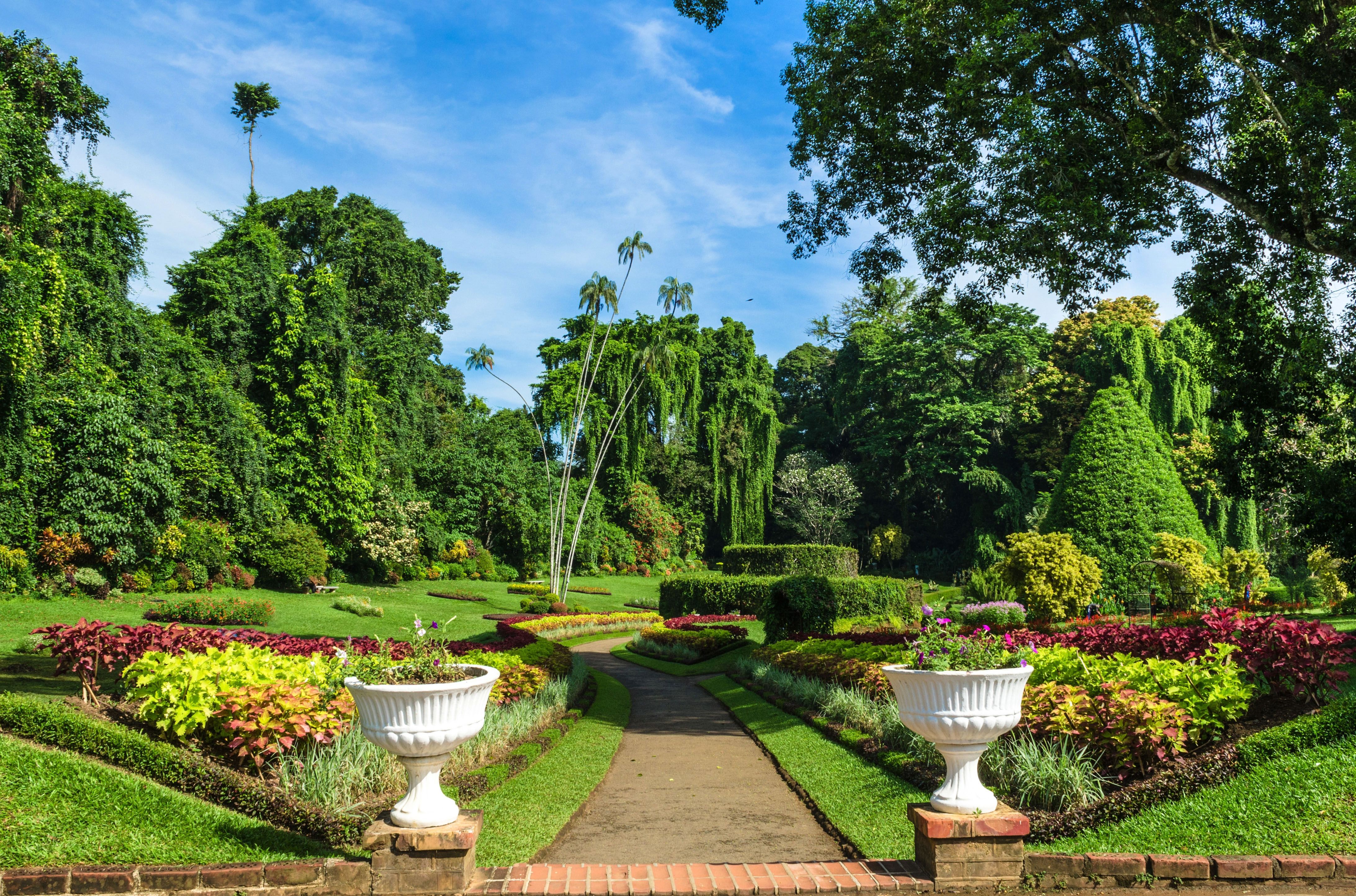 Rondreis Compleet Sri Lanka