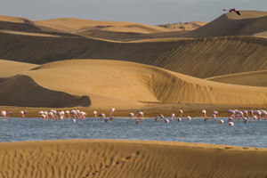 Cruise van Spanje naar Dubai