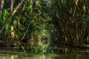 Cruise Only van Curaçao naar IJmuiden