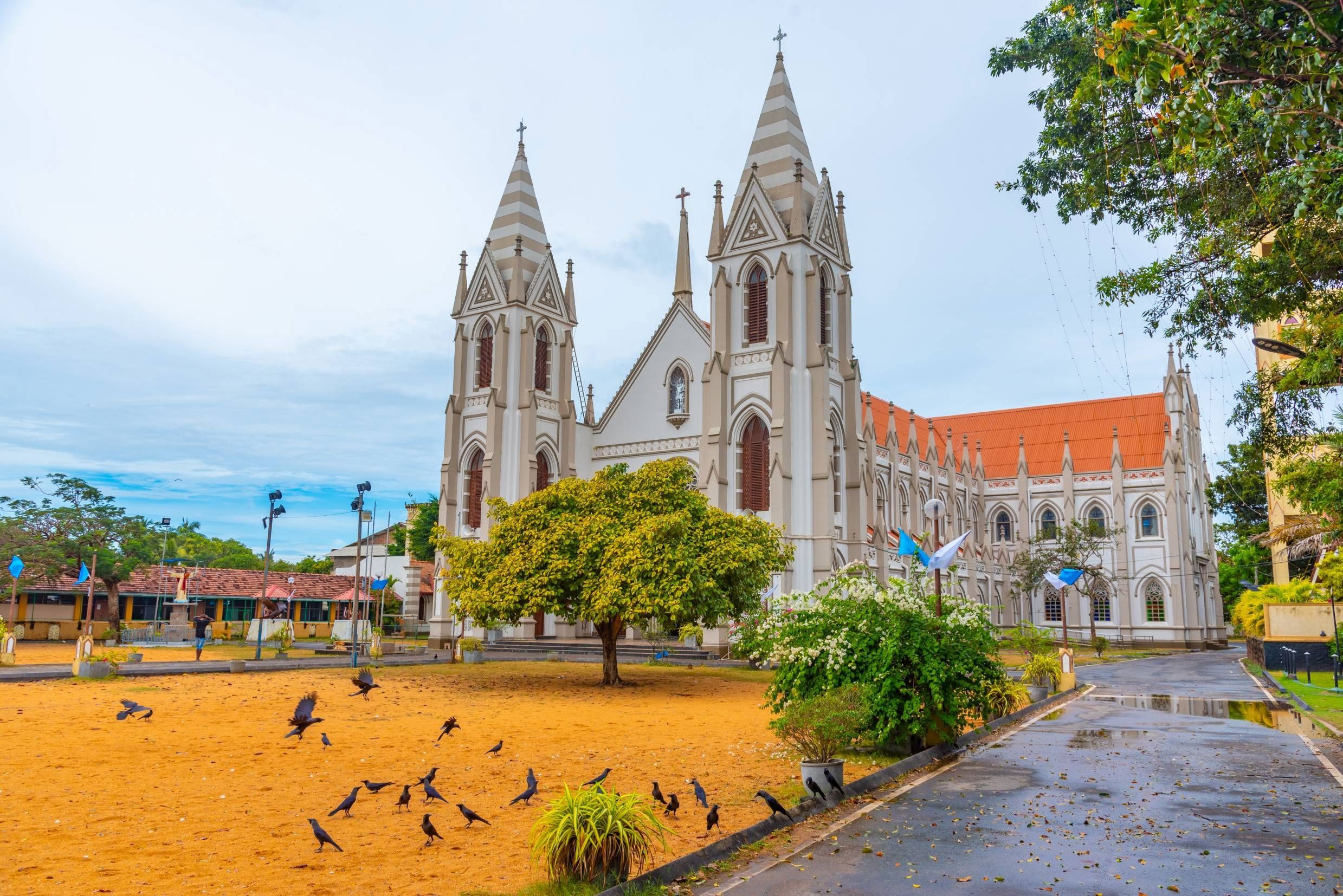 Rondreis Hoogtepunten van Sri Lanka