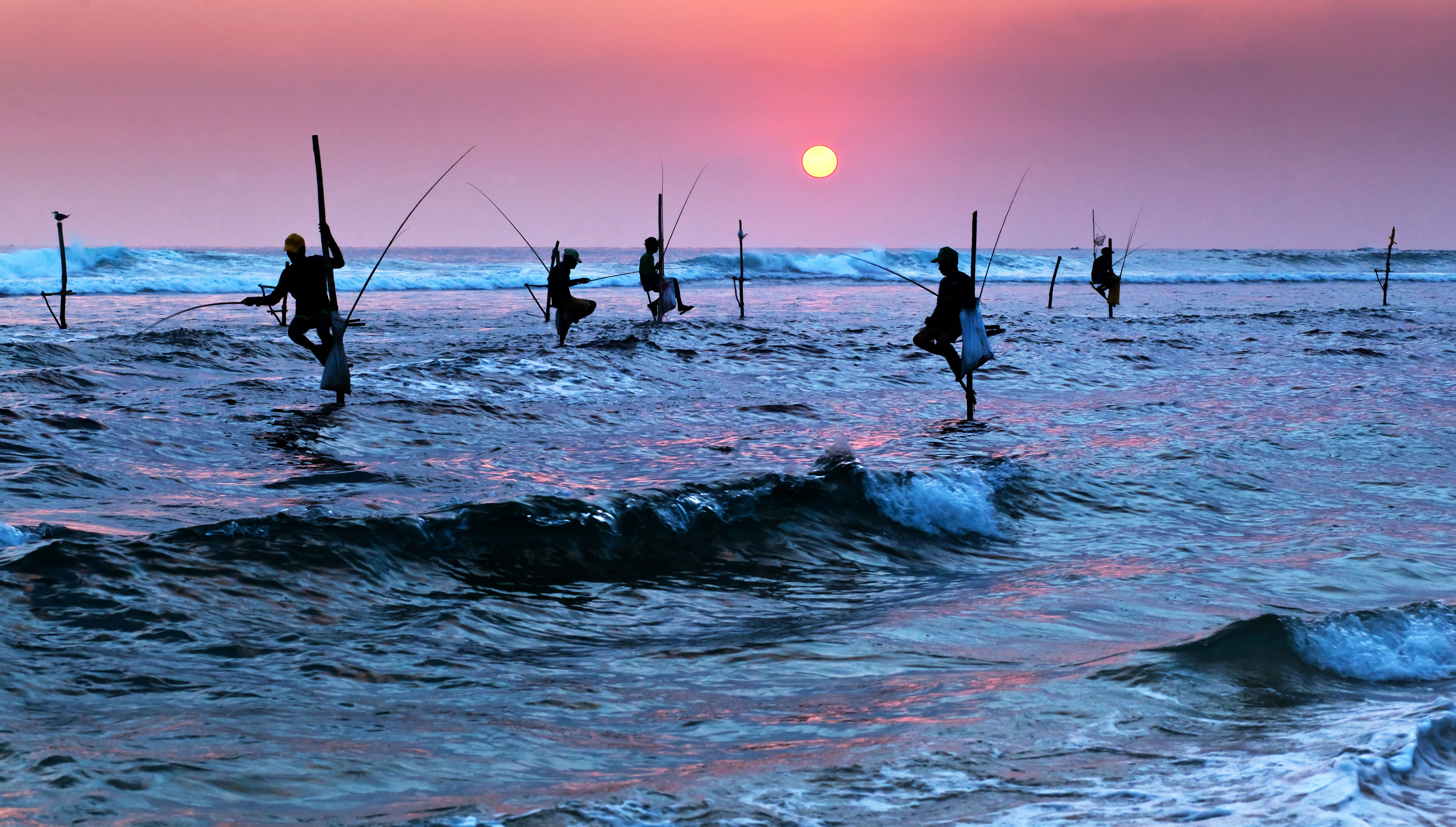 Rondreis Hoogtepunten van Sri Lanka