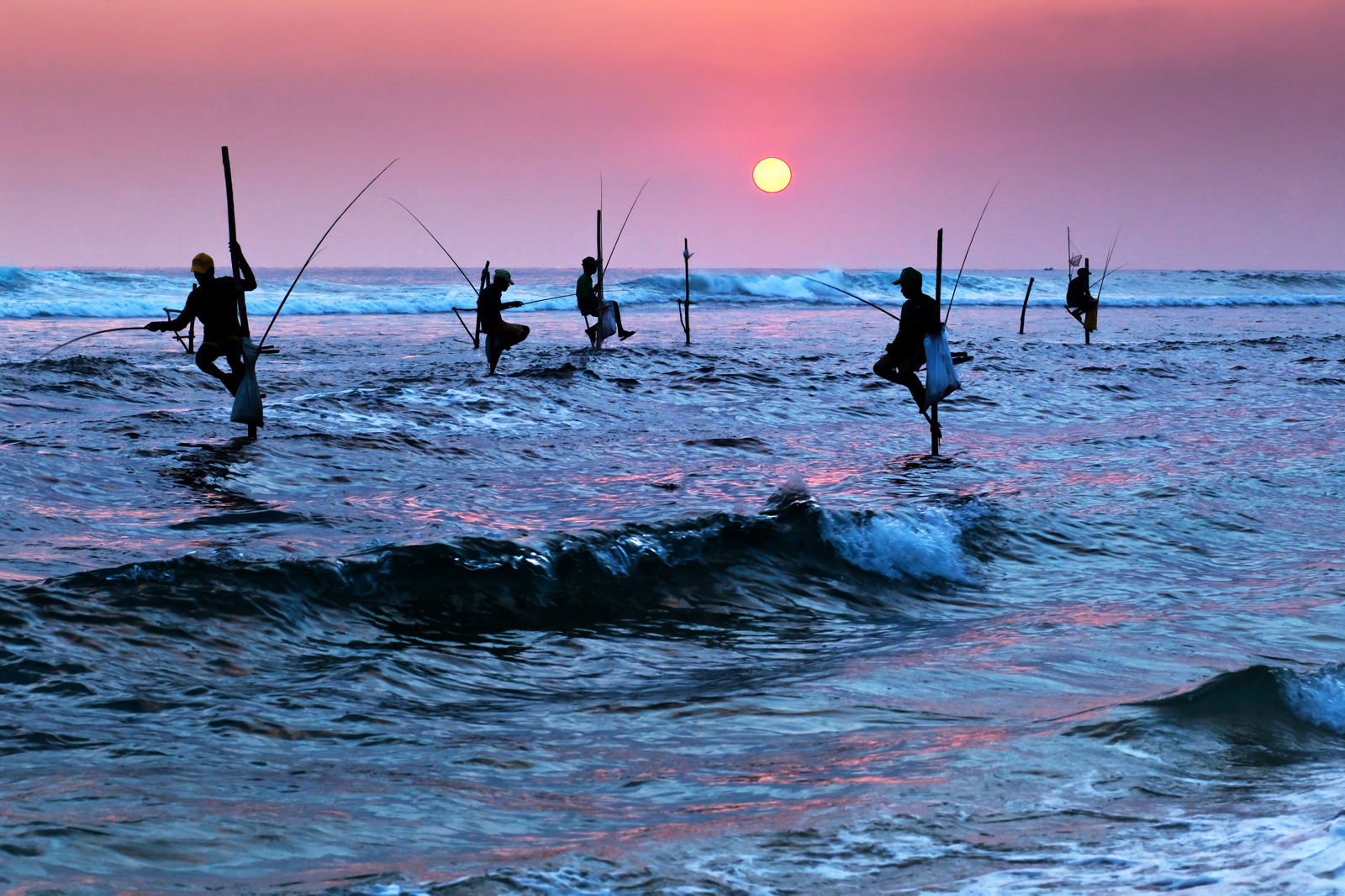 Rondreis Hoogtepunten van Sri Lanka
