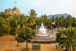 Rondreis Hoogtepunten van Sri Lanka