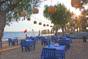 Excursie & Armonia Holiday Village