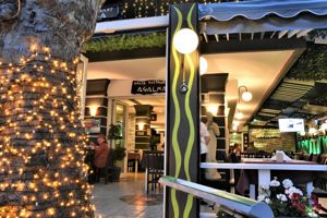 Fly & Go Kassandra Appartements Culinaire