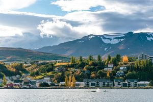 Cruise naar wonderlijk IJsland