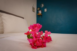 Curaçao North Sea Jazz arrangement Saint Joris Boutique Resort