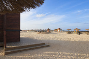Beach Bar
