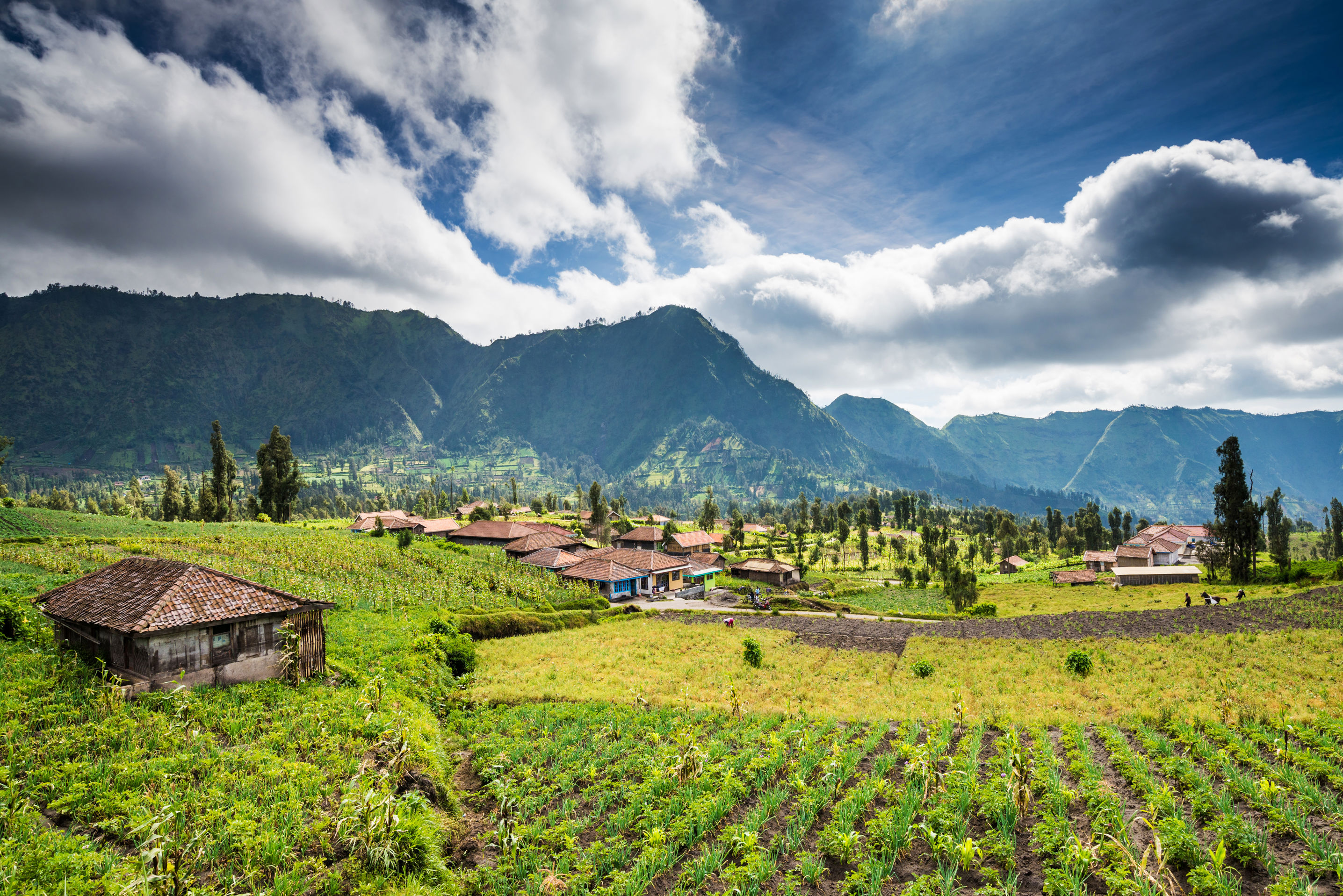 Rondreis Veelzijdig Java & Bali