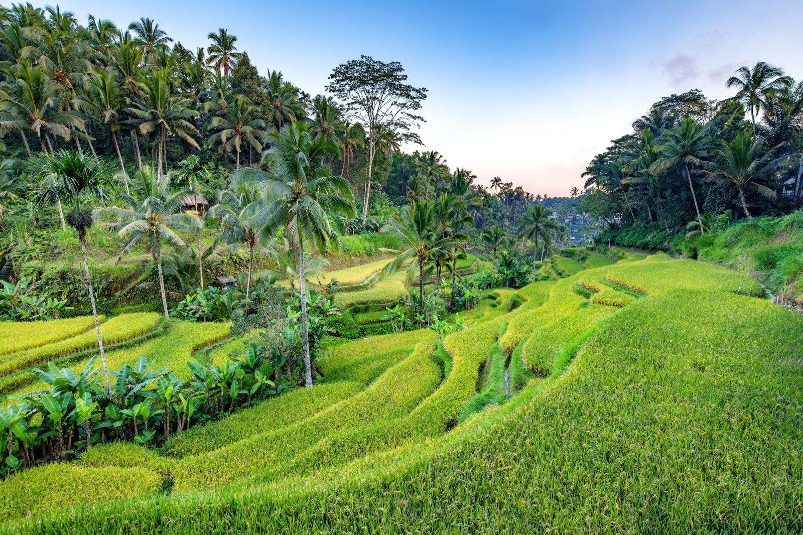 Rondreis Veelzijdig Java & Bali
