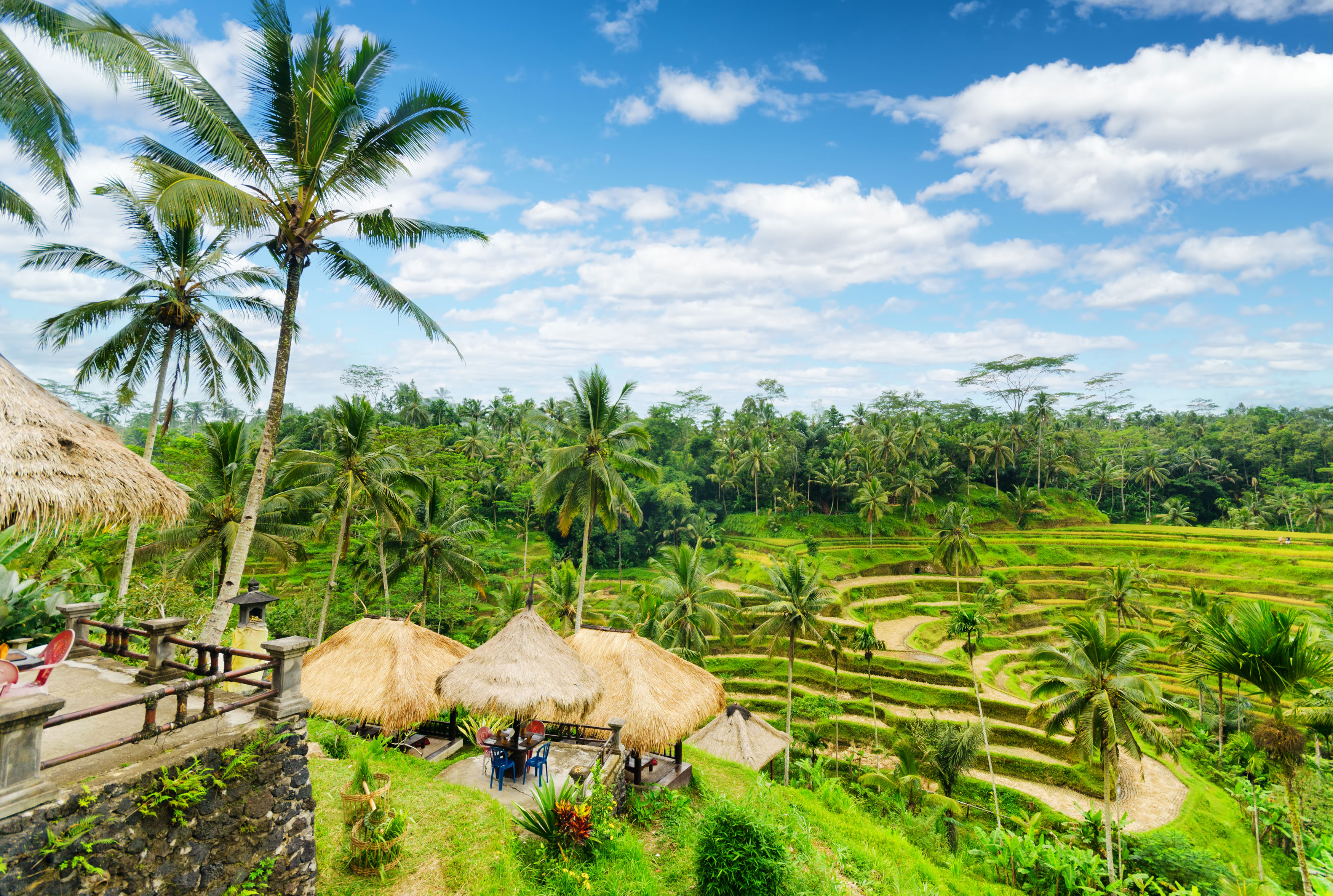 Rondreis Veelzijdig Java & Bali