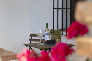 Woonvoorbeeld 2-persoonskamer Standaard