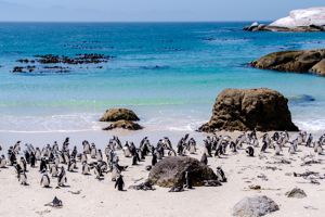 Cruise van Zuid-Afrika naar Italië