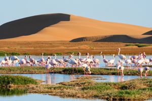 Cruise van Zuid-Afrika naar Italië