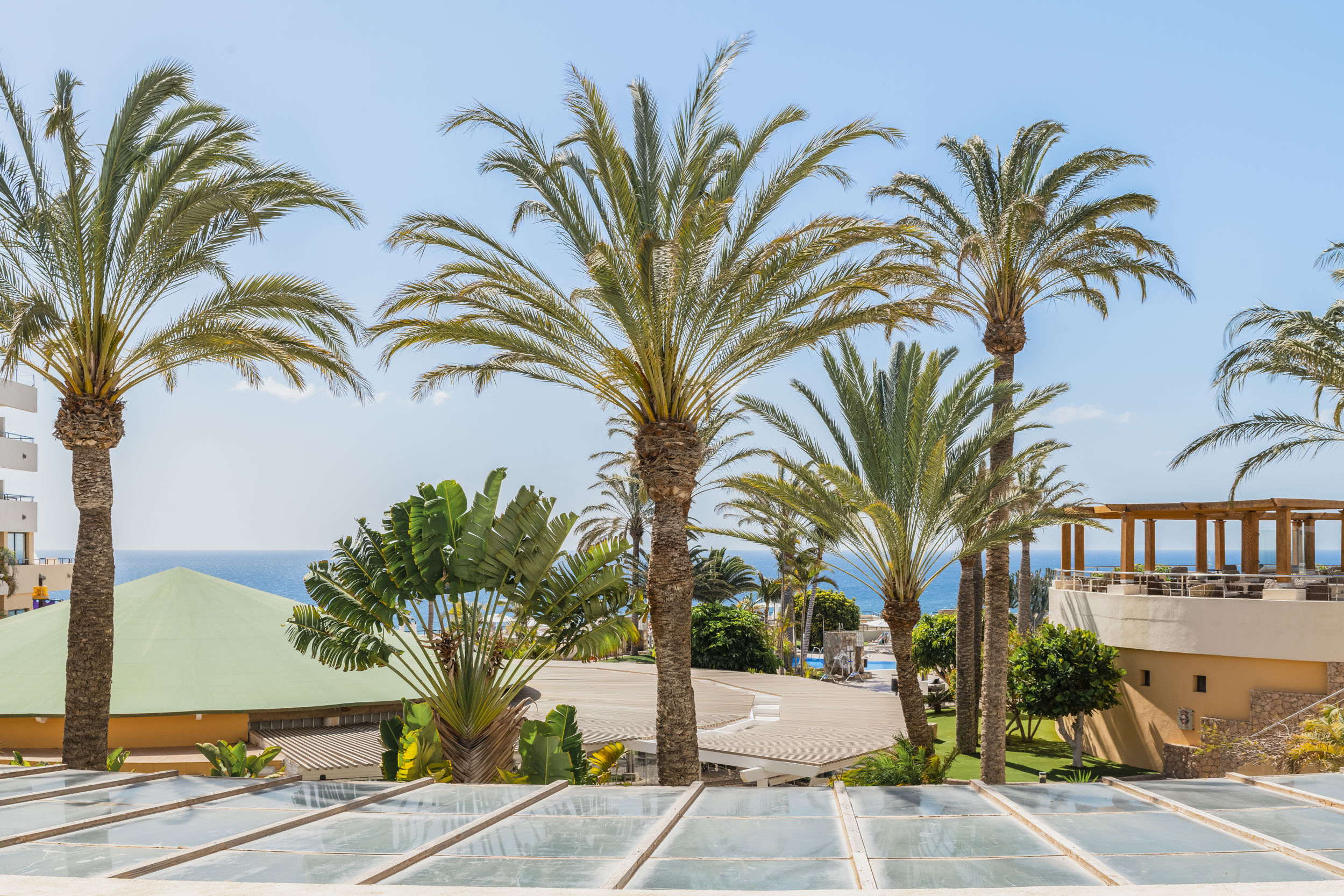 Iberostar Waves Playa Gaviotas