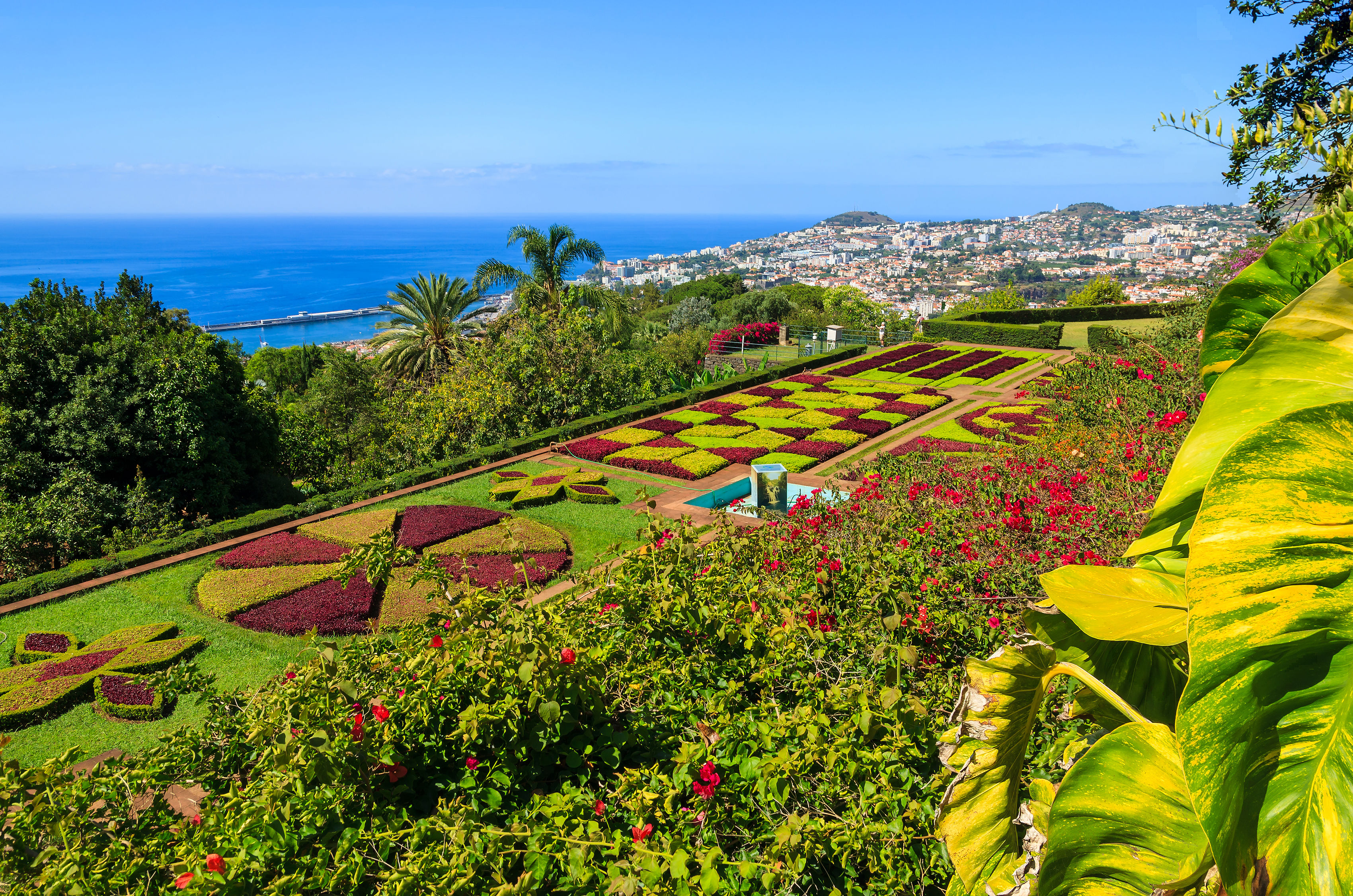 Cruise naar de Canarische Eilanden & Portugal