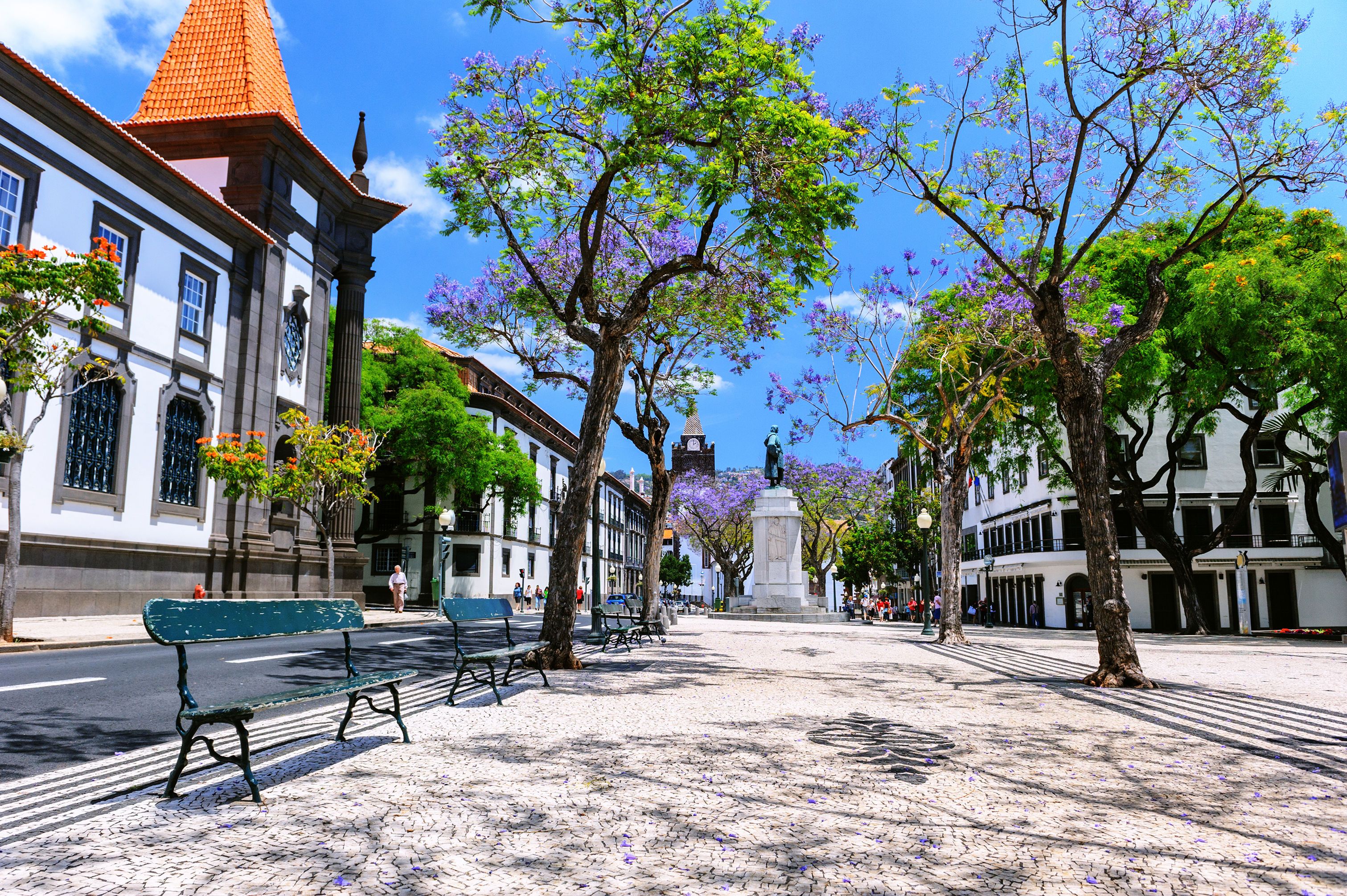 Cruise naar de Canarische Eilanden & Portugal
