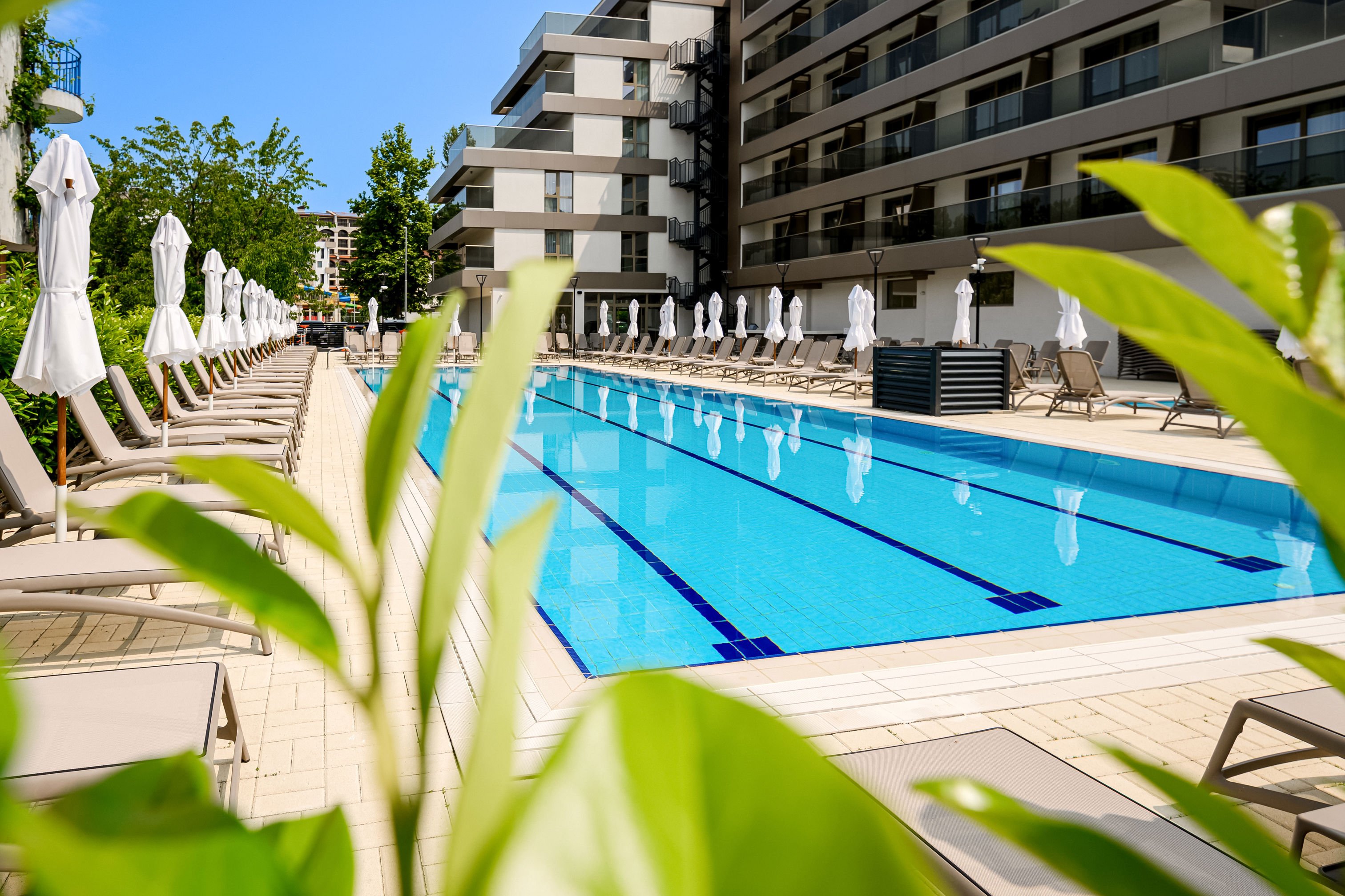 Laguna Park Sunrise - billede 4