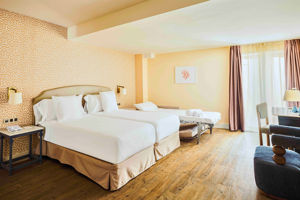 Hotel Fenix