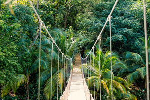 Cruise Tropische Caribbean