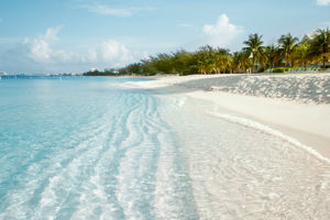 Cruise Tropische Caribbean