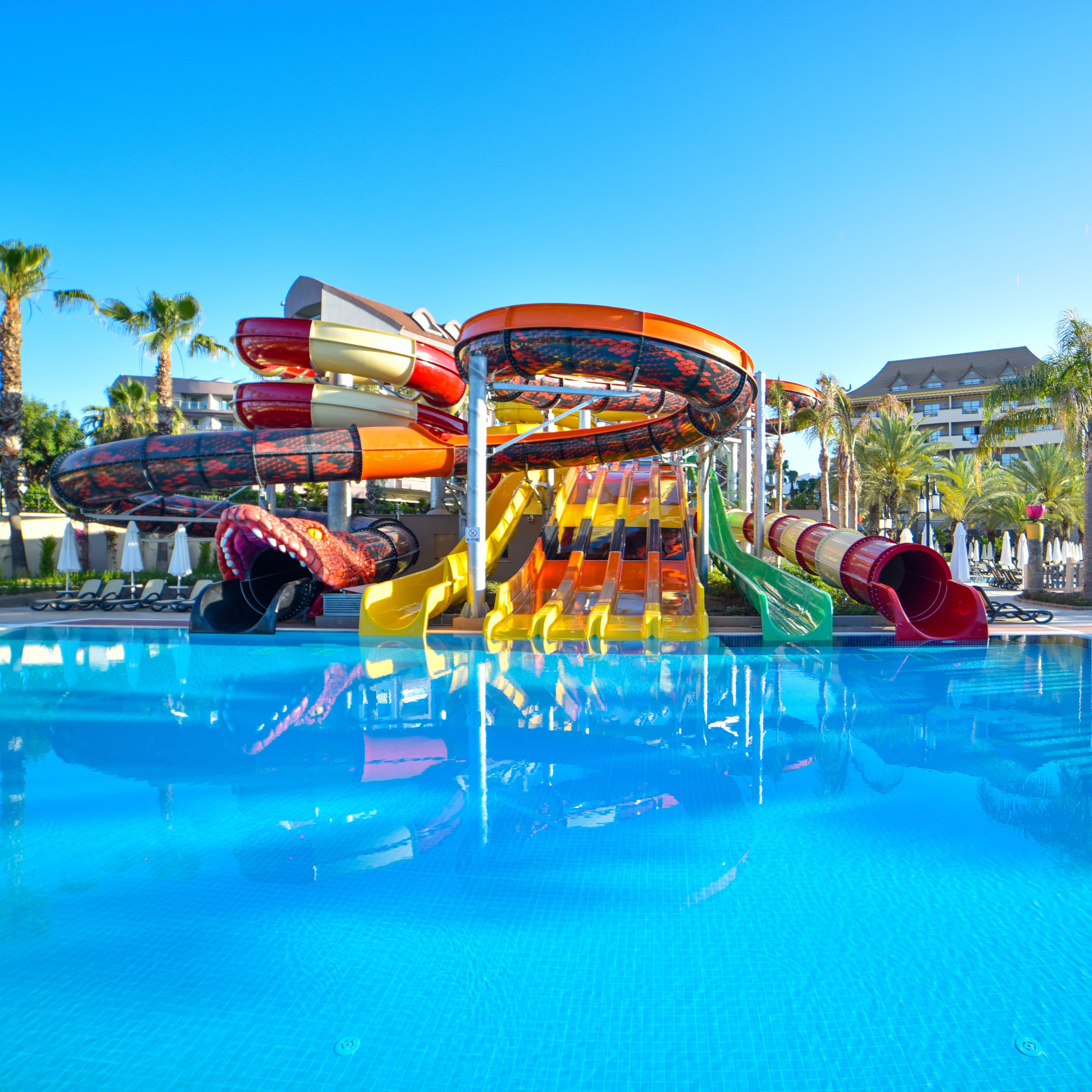 Royal Dragon - billede 2