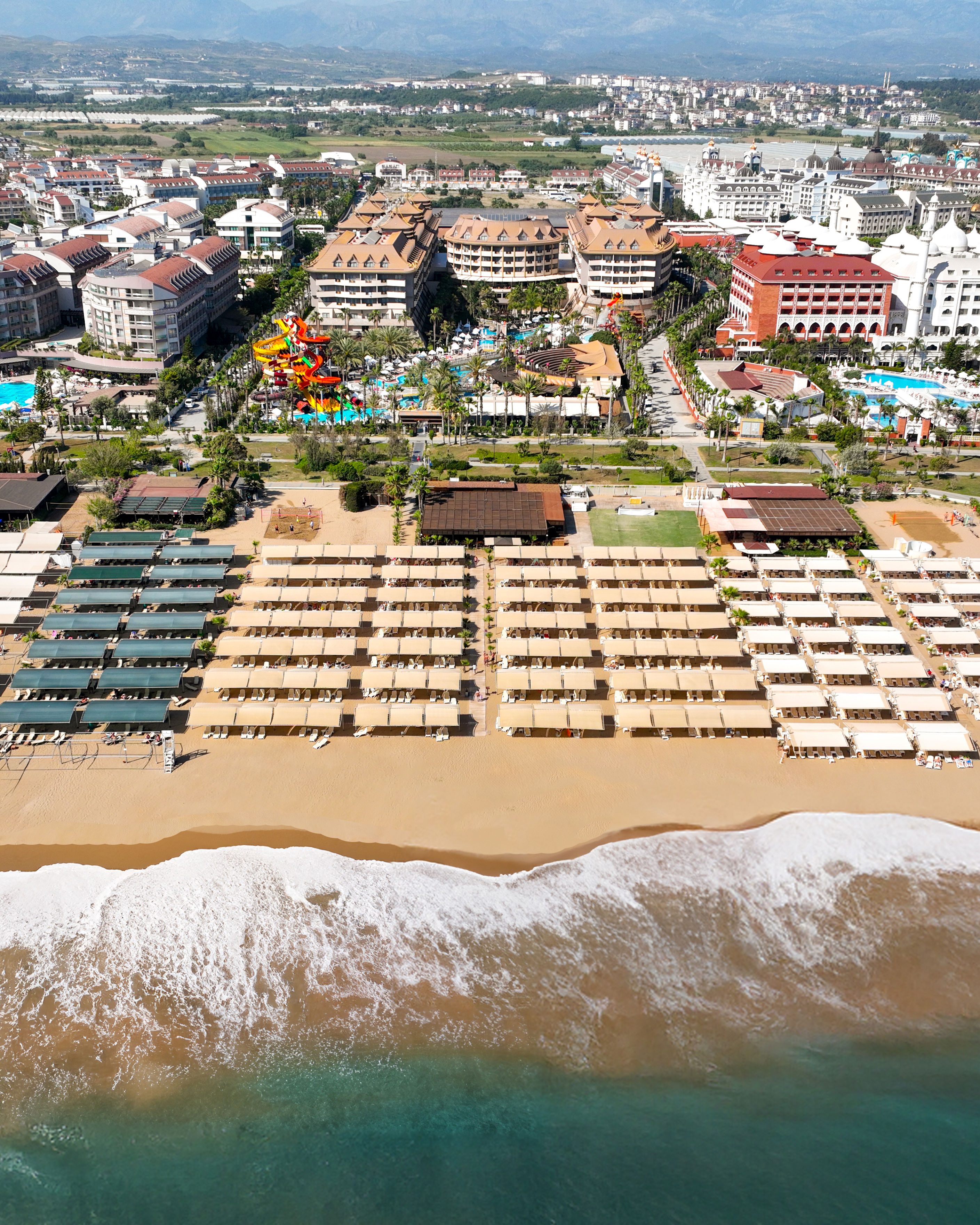 Royal Dragon - billede 3