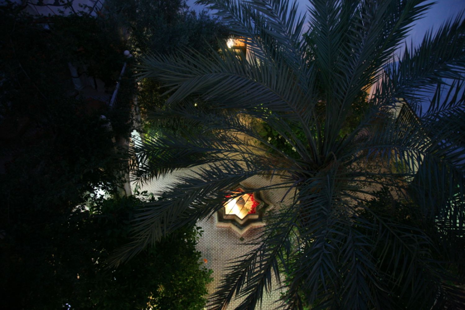 Riad Ifoulki