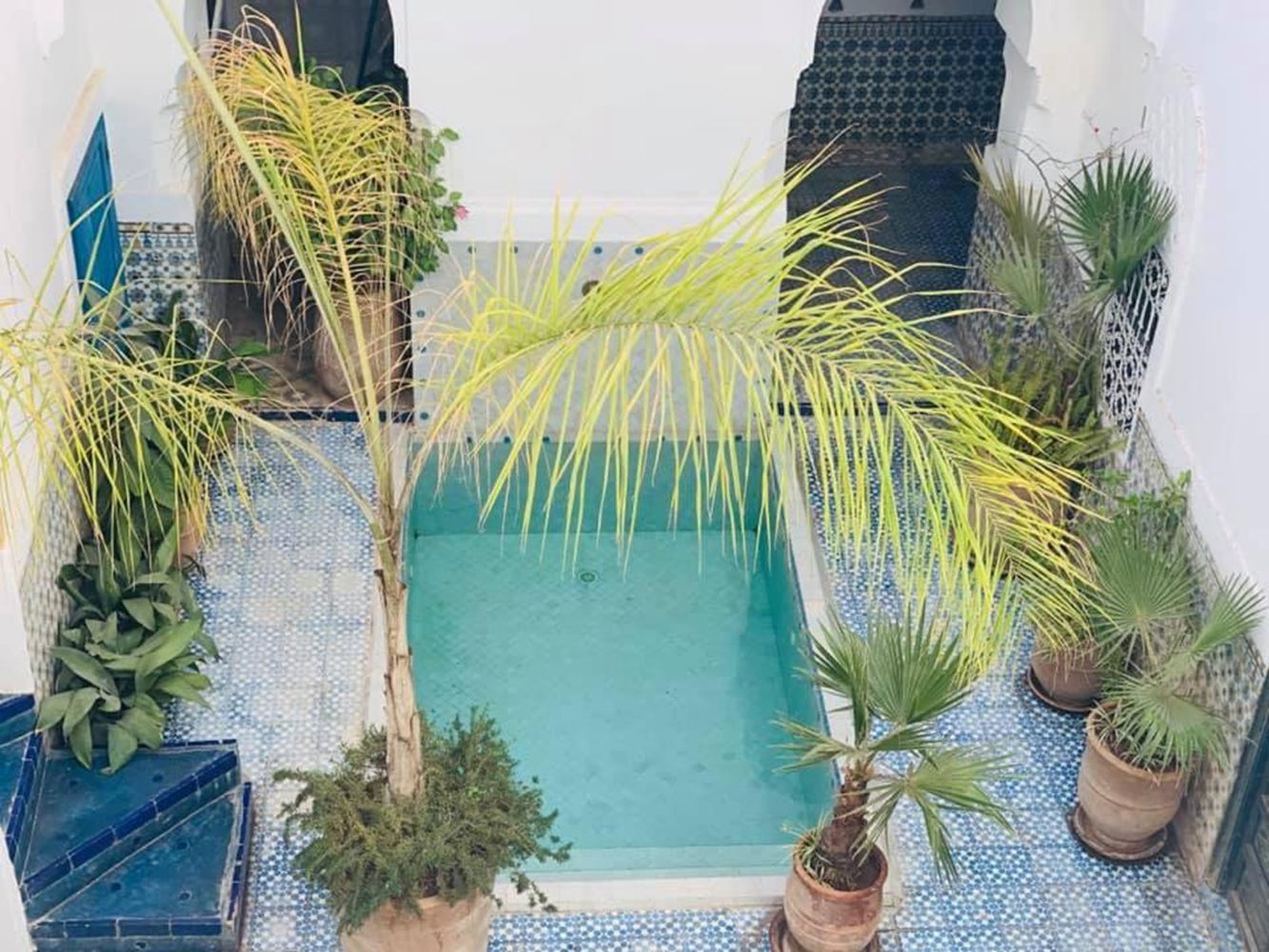 Riad Ifoulki