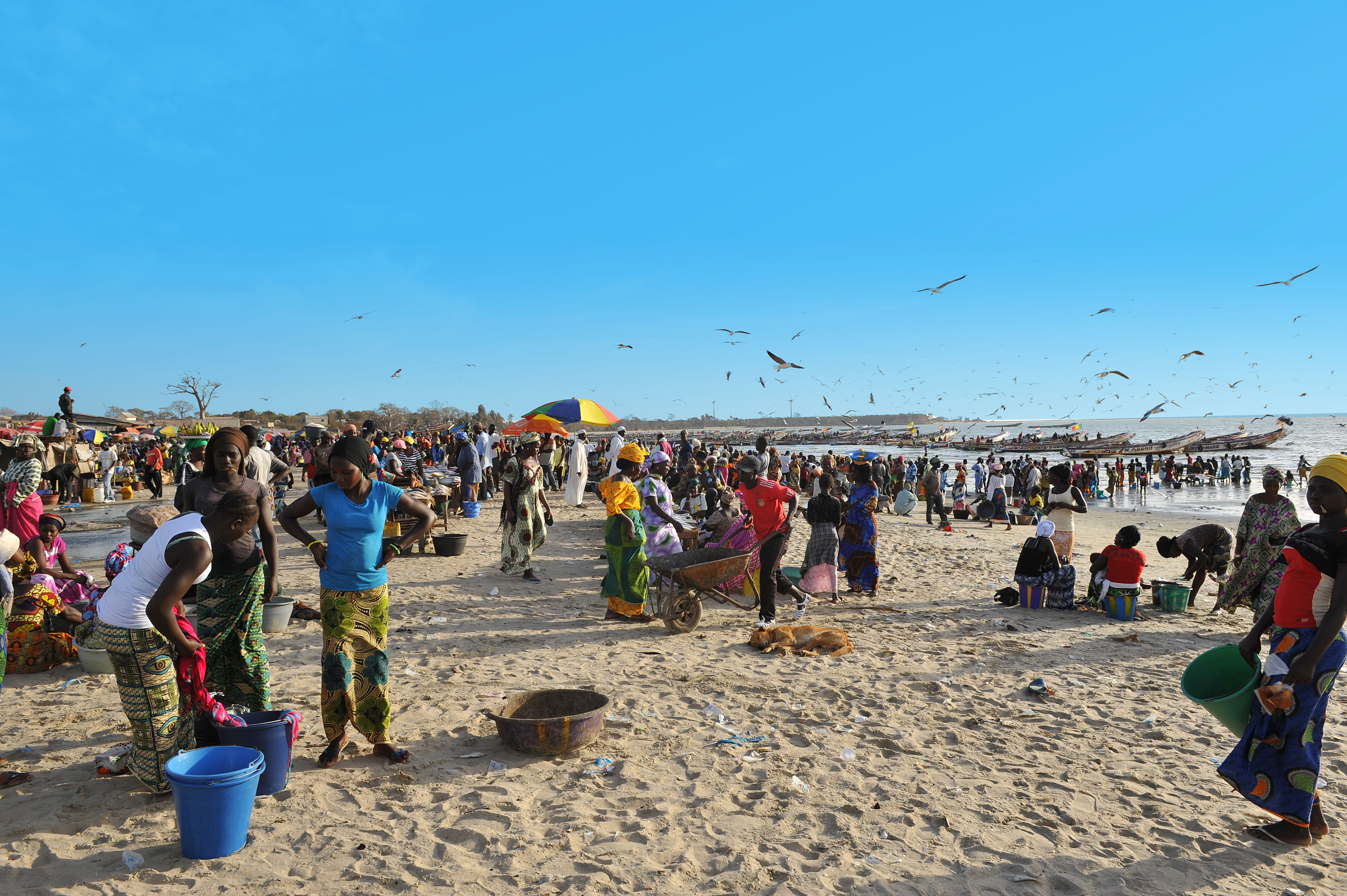 Rondreis Avontuurlijk Gambia & Senegal