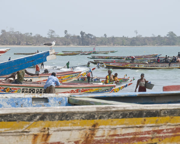 Rondreis Avontuurlijk Gambia Senegal rondreis-avontuurlijk-gambia-senegal