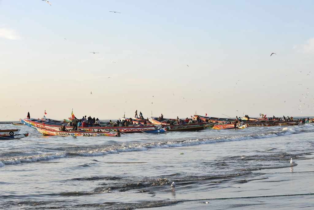 Rondreis Avontuurlijk Gambia & Senegal