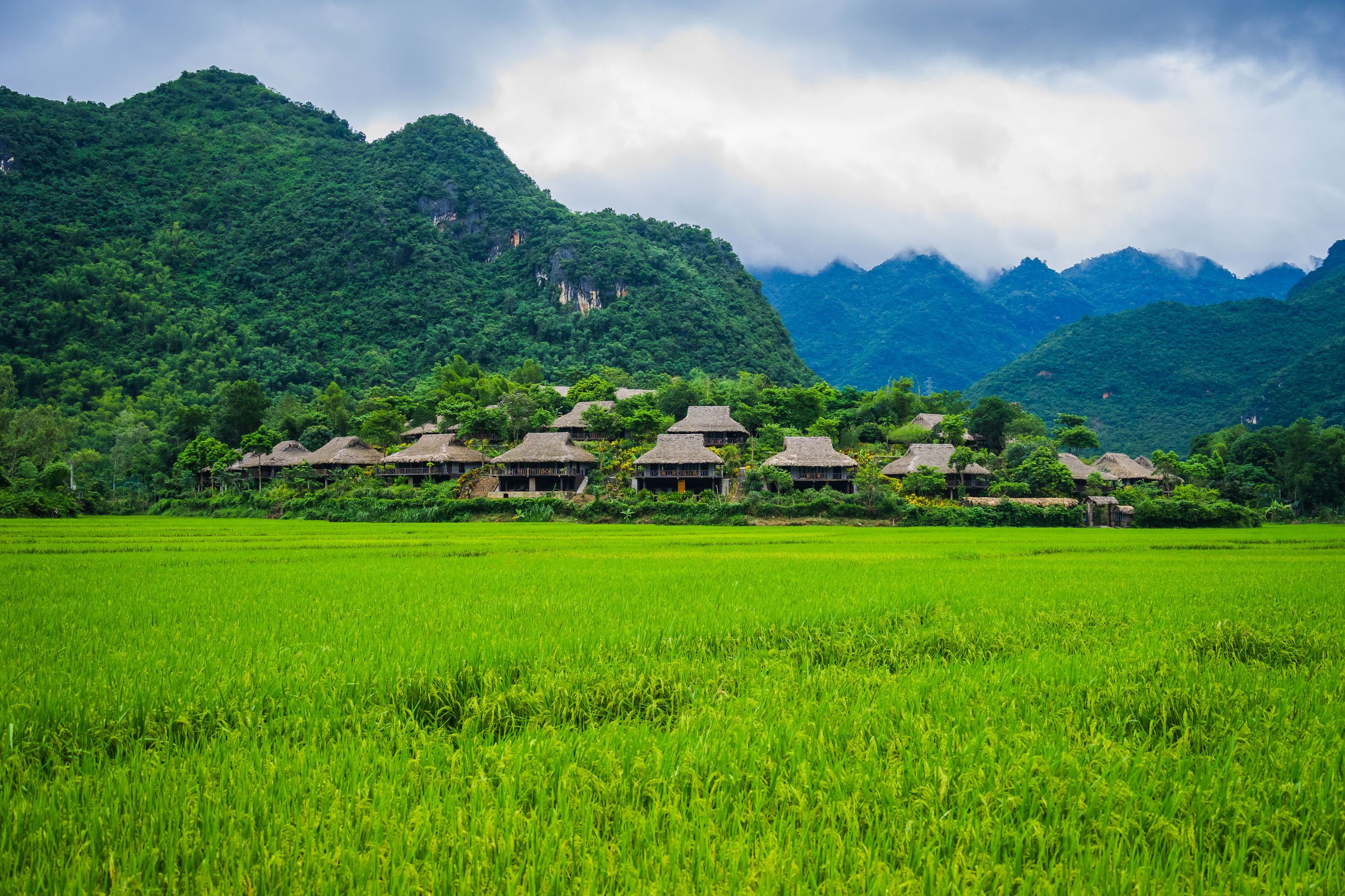 Rondreis Onvergetelijk Vietnam