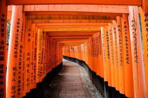 Rondreis Veelzijdig Japan