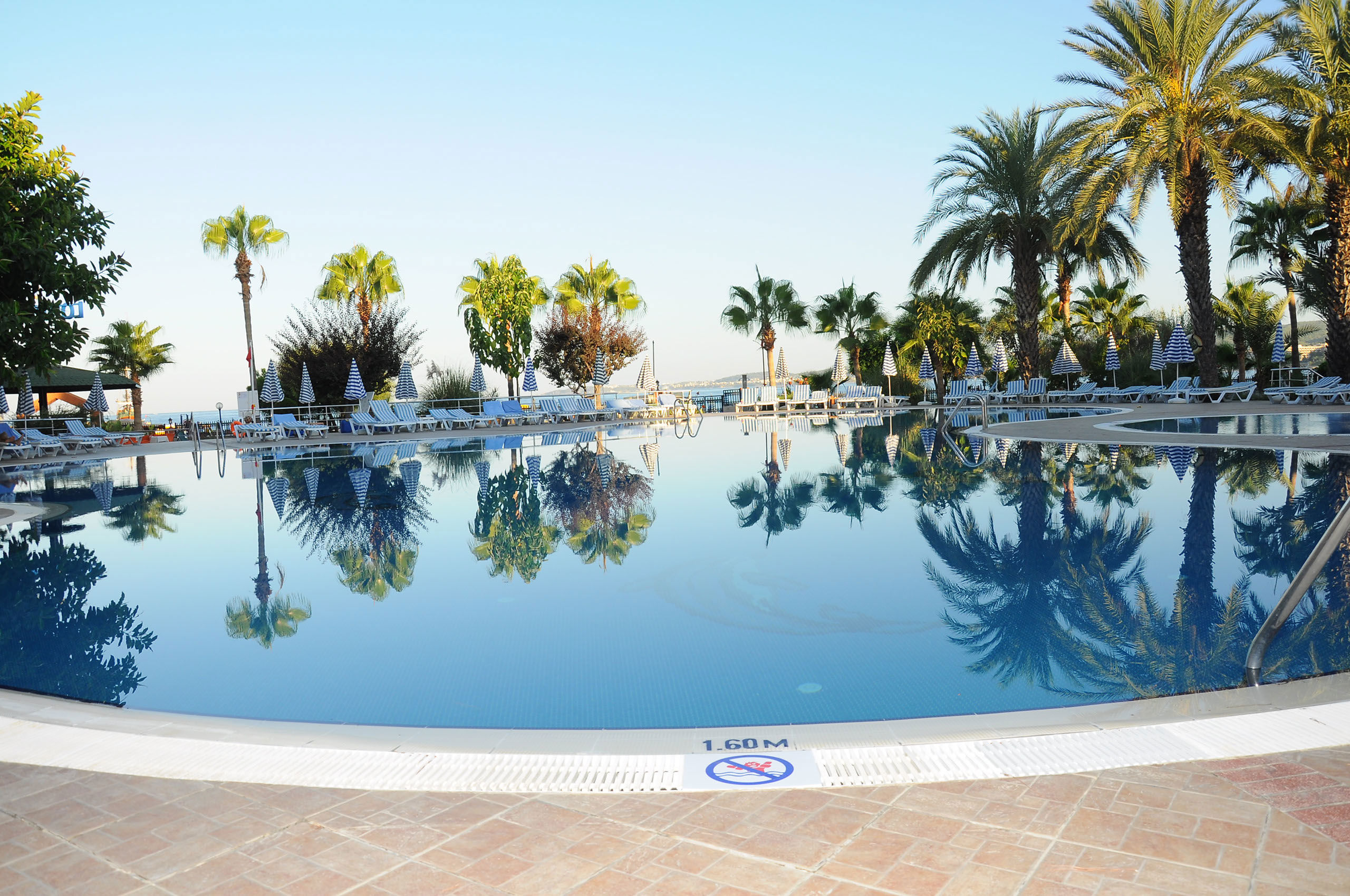 Lonicera Resort & Spa - billede 5