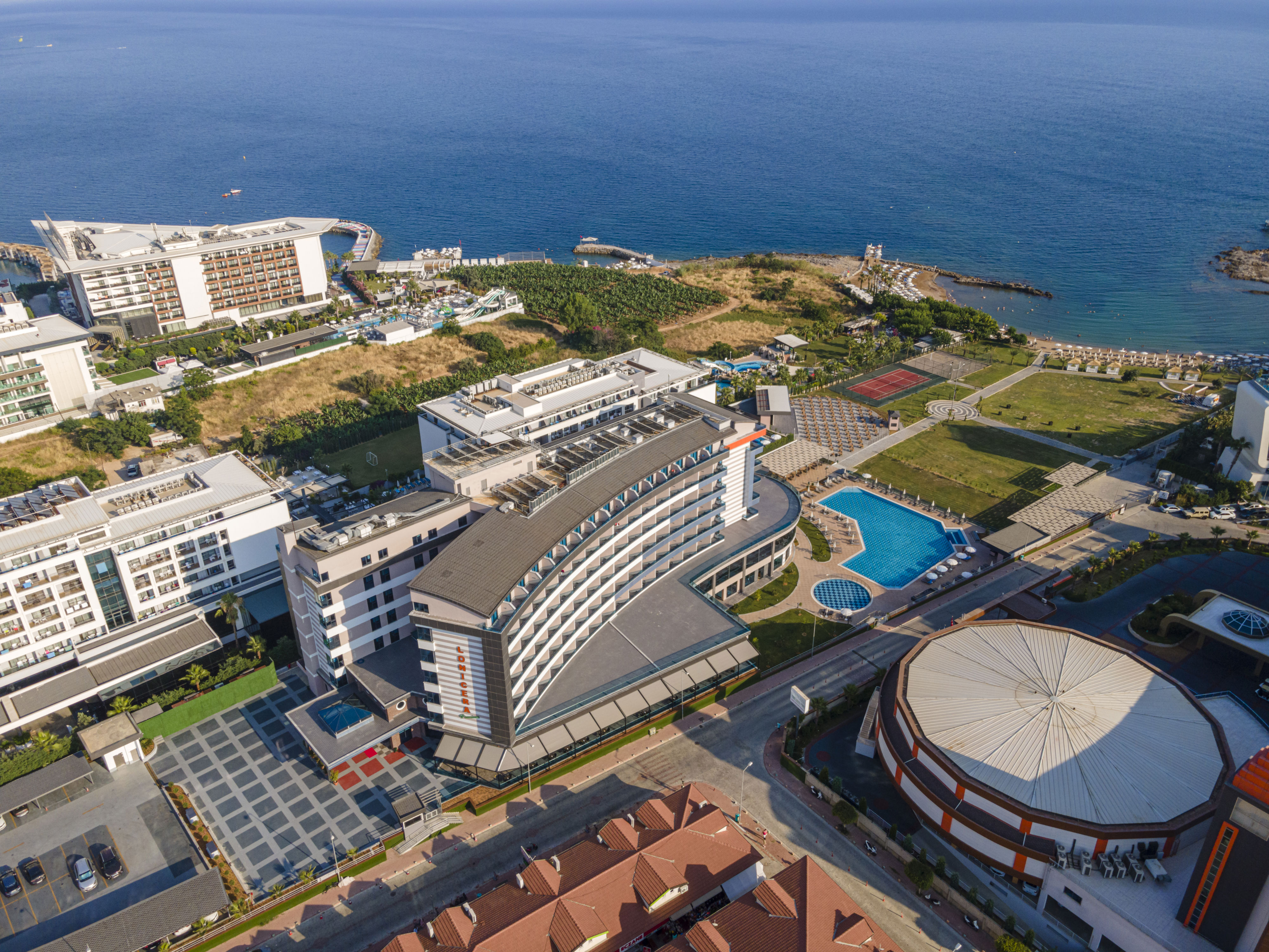 Lonicera Premium - billede 2