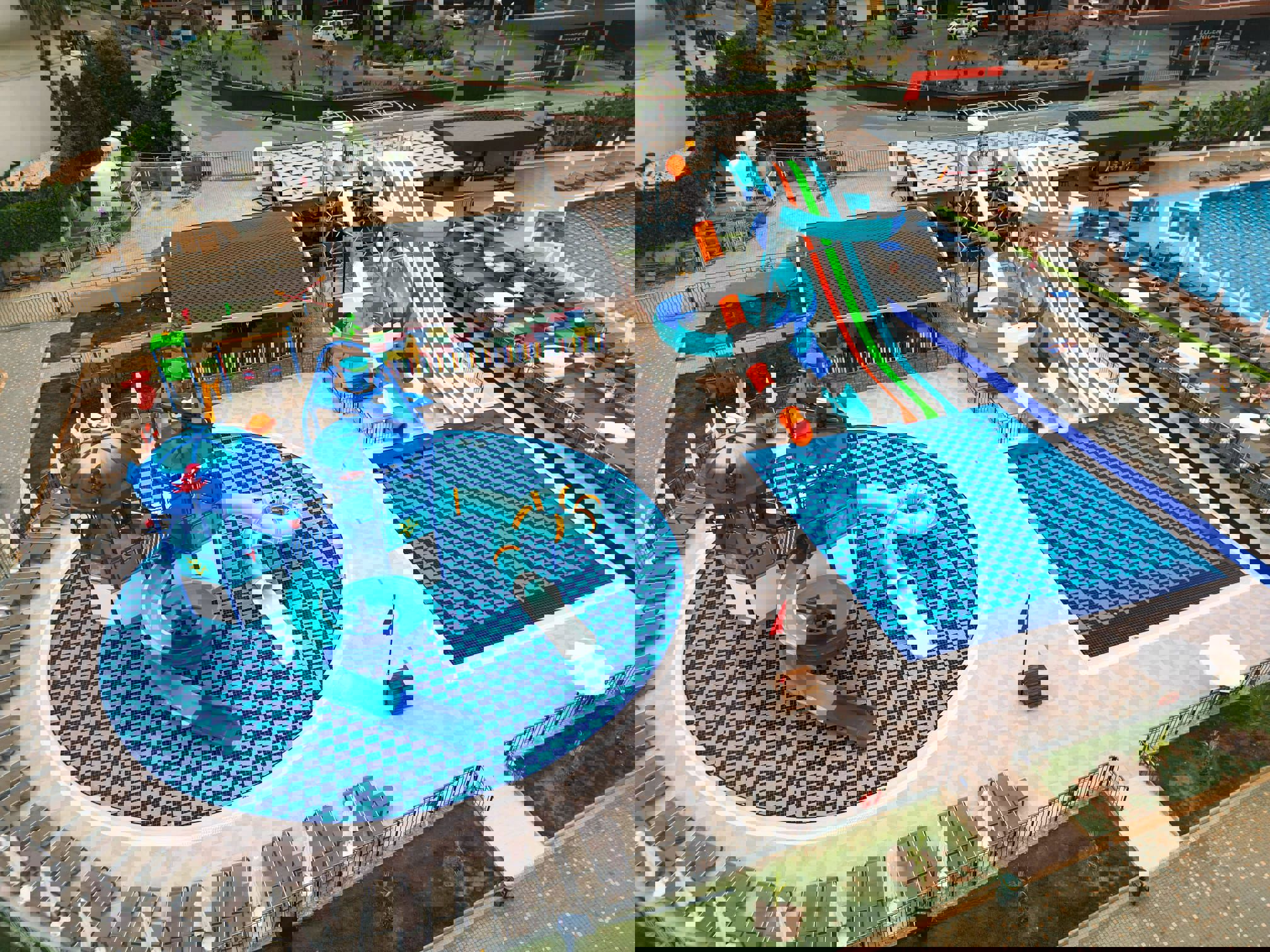 Lonicera Premium - billede 3