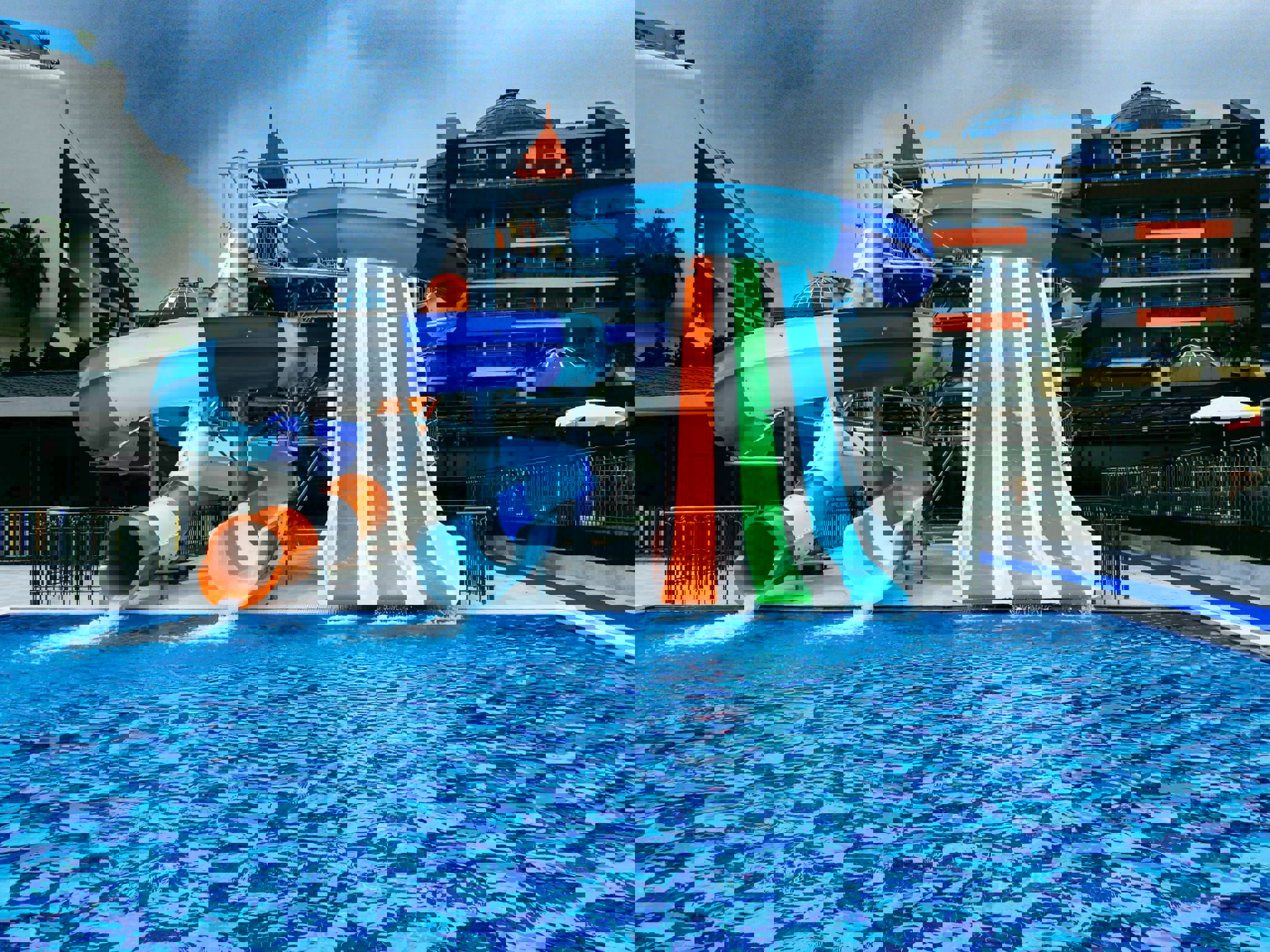 Lonicera Premium - billede 4