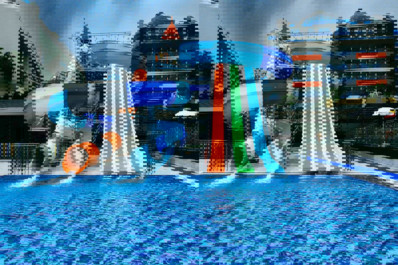 Lonicera Premium billede 4