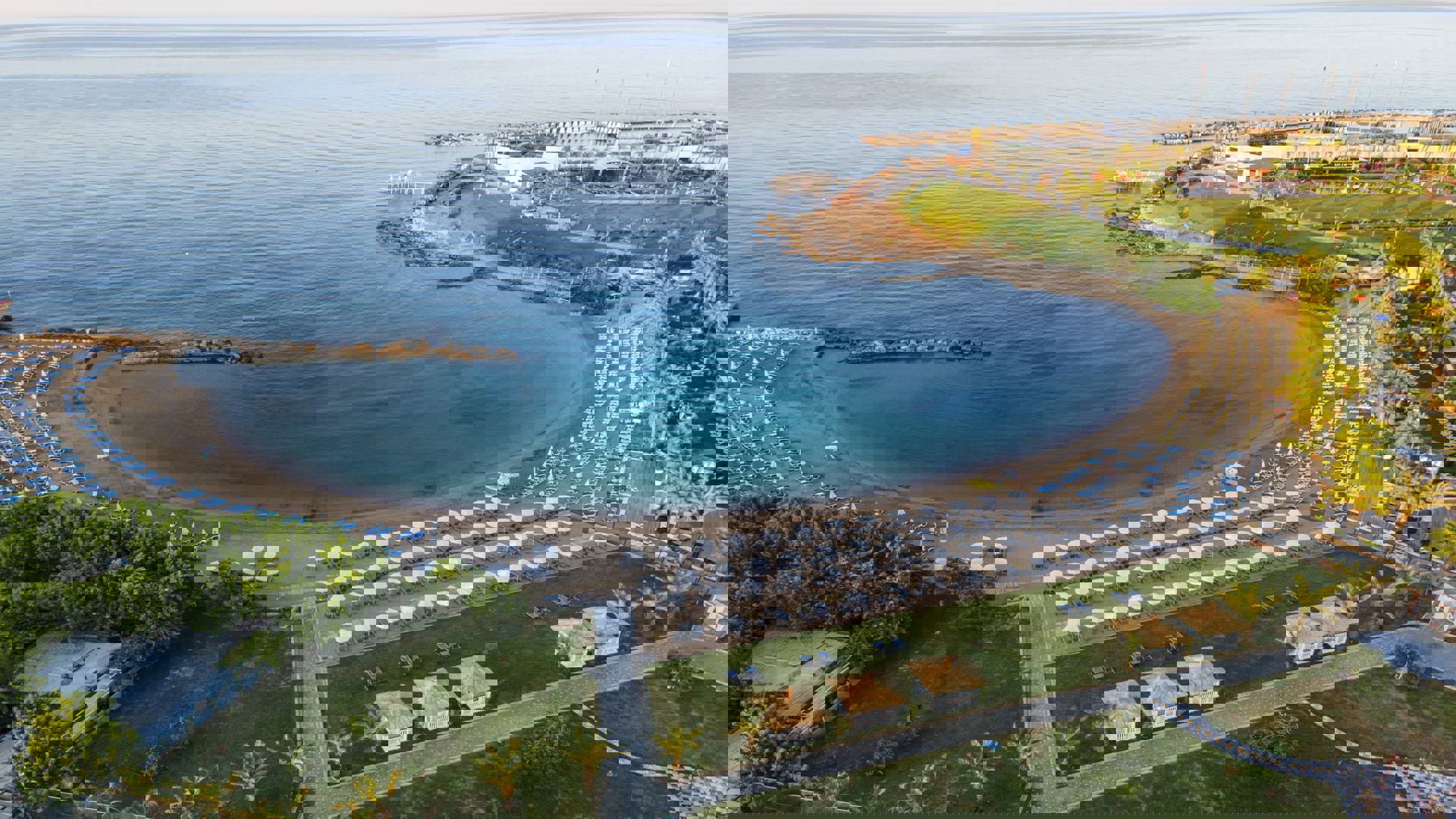 Lonicera Premium - billede 5