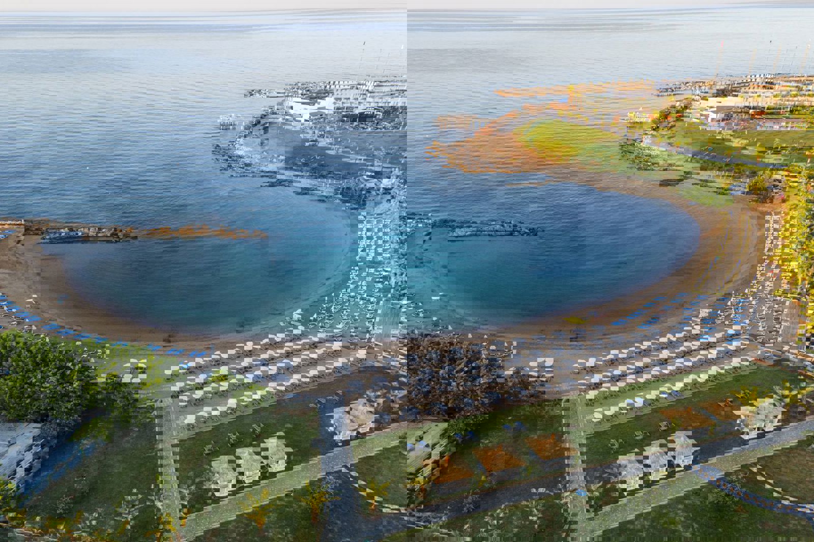 Lonicera Premium billede 5