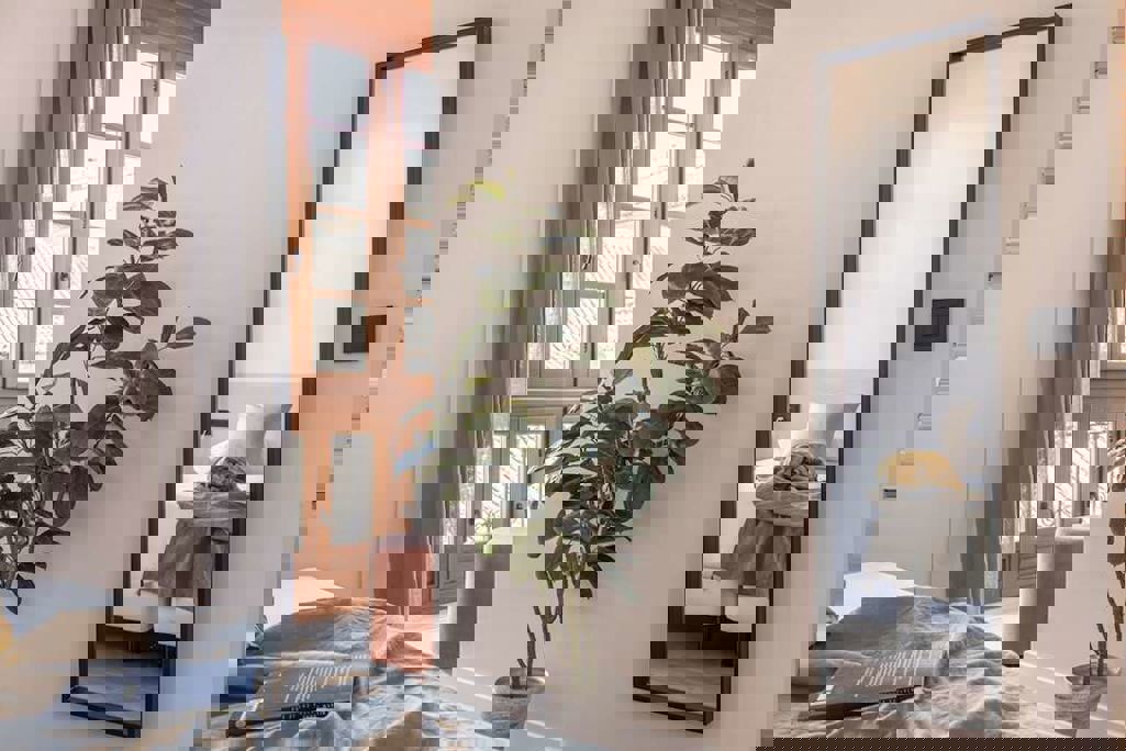 libere-malaga-teatro-romano